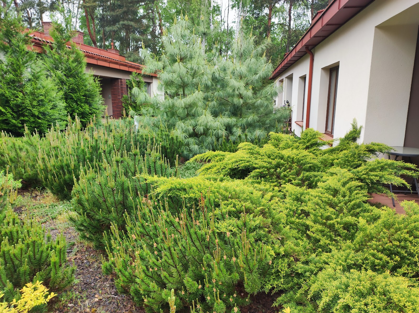 Senior Apartments - specjalistyczne osiedle dla seniorów z całodobową opieką