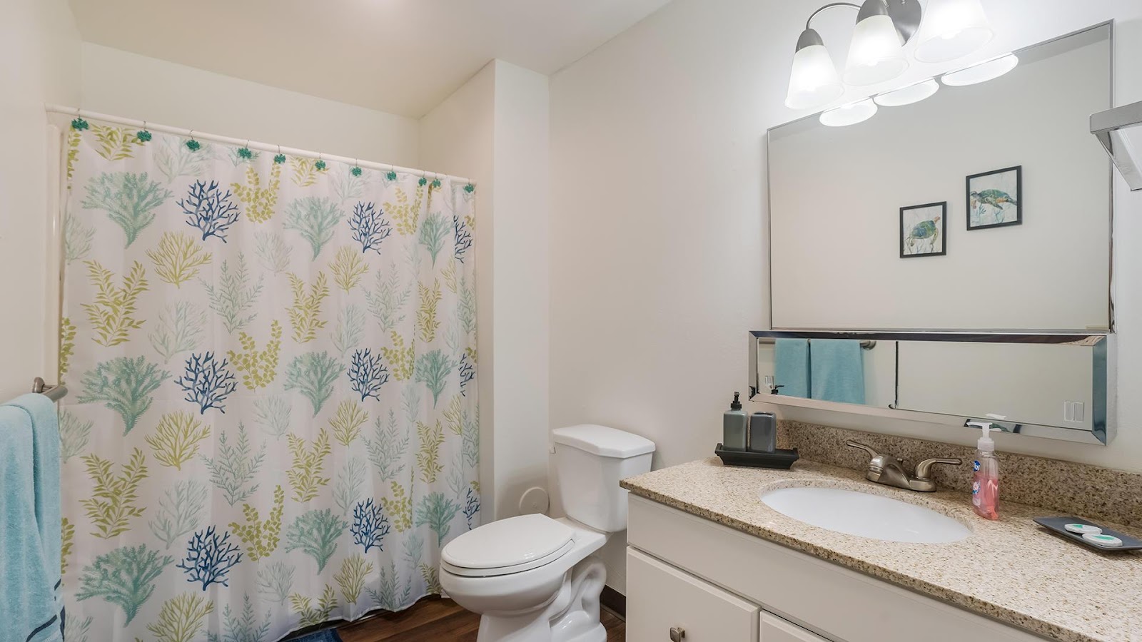 Solista Wilmington