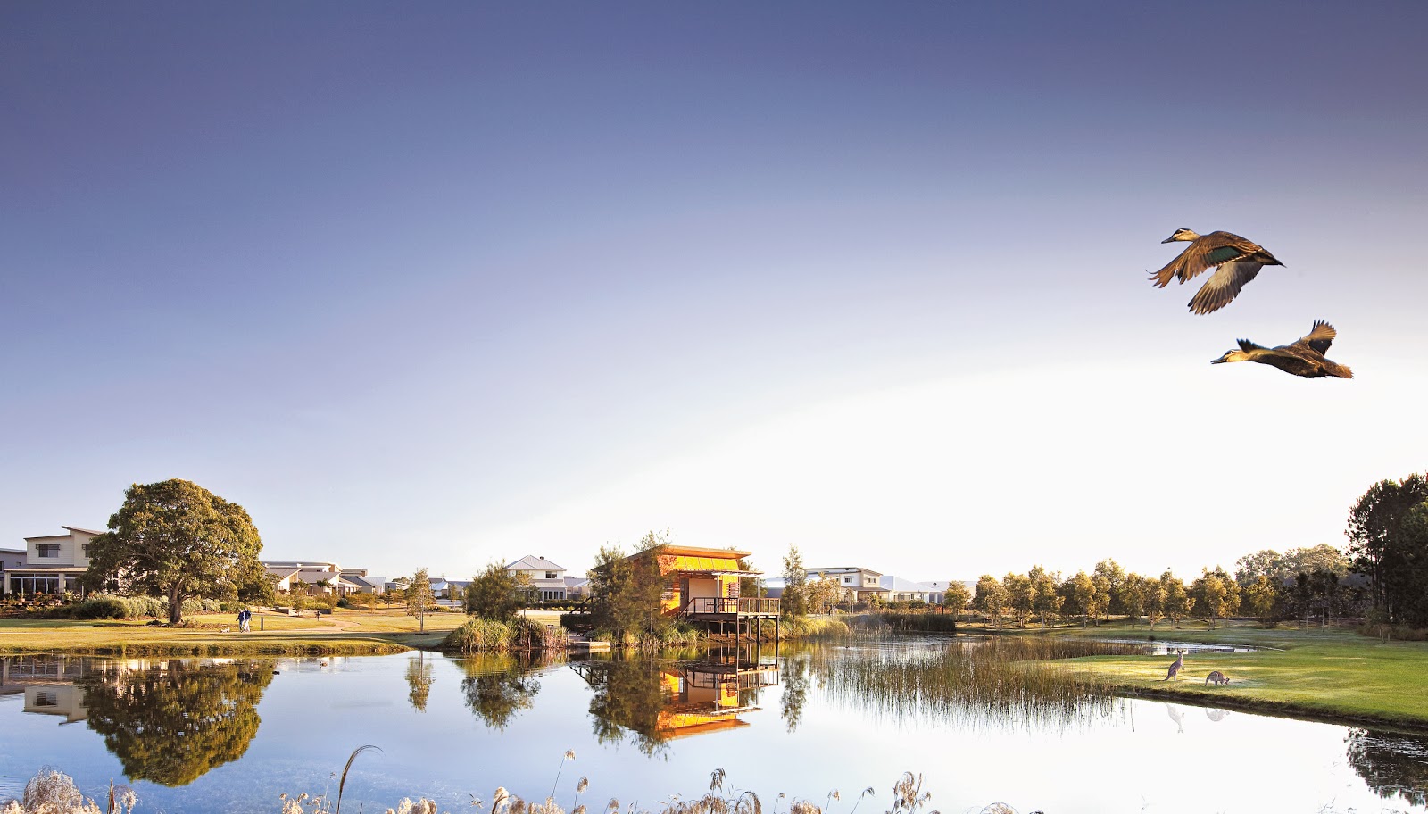 Stockland Halcyon Waters