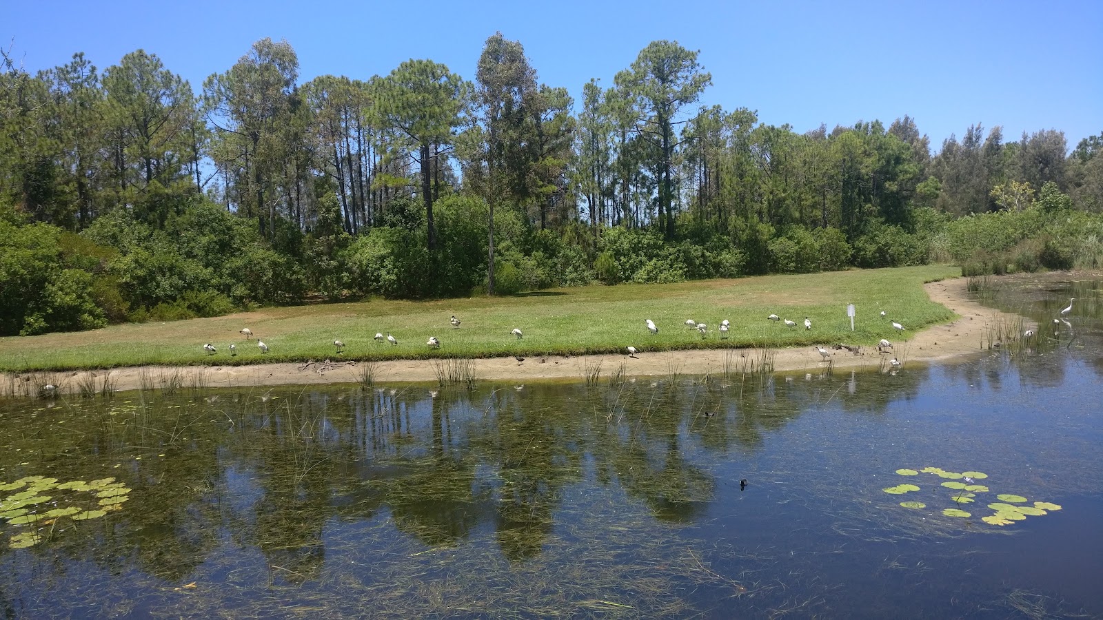 Stockland Halcyon Waters