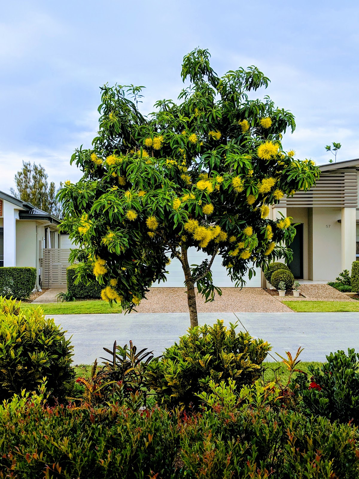 Stockland Halcyon Waters