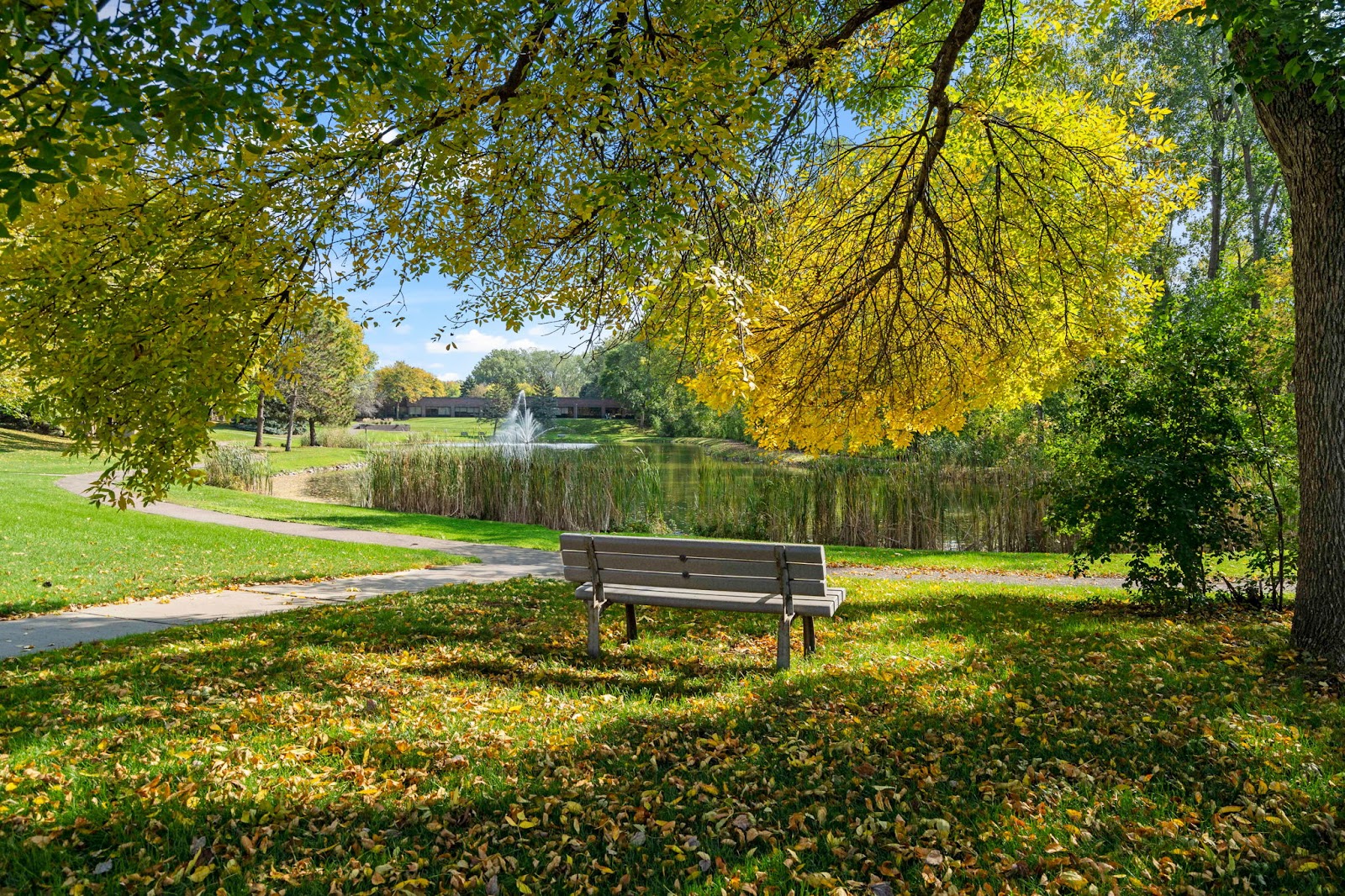 Emerald Crest Memory Care Burnsville