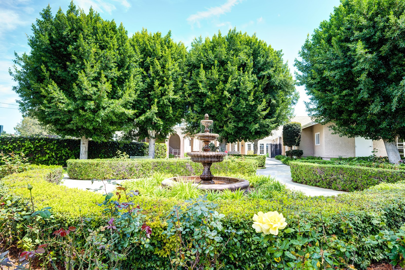 Ivy Terrace Fullerton Memory Care