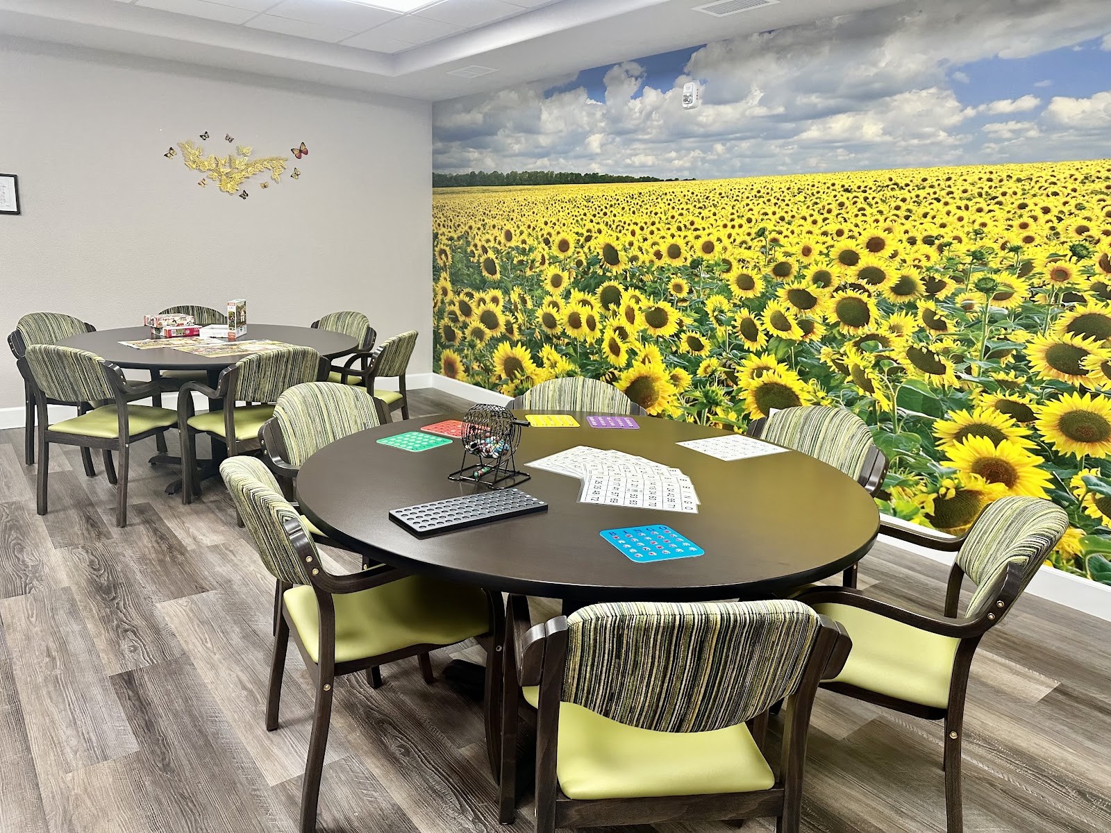 Summerset Senior Living - Memory Care and Adaptive Care