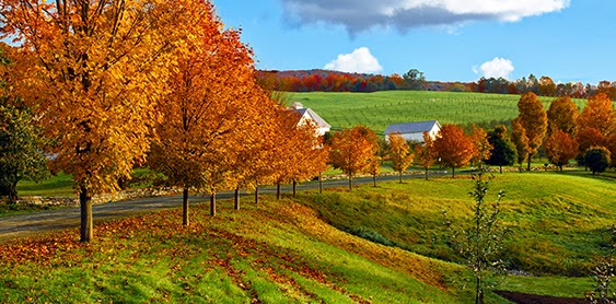 The Residence at Otter Creek