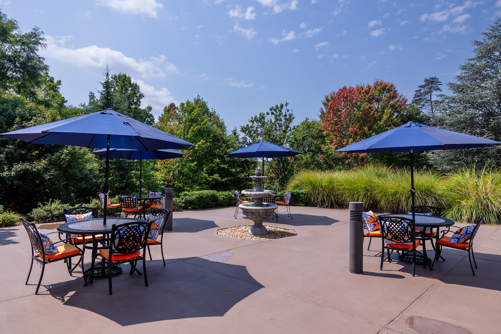 Commonwealth Senior Living at Charlottesville