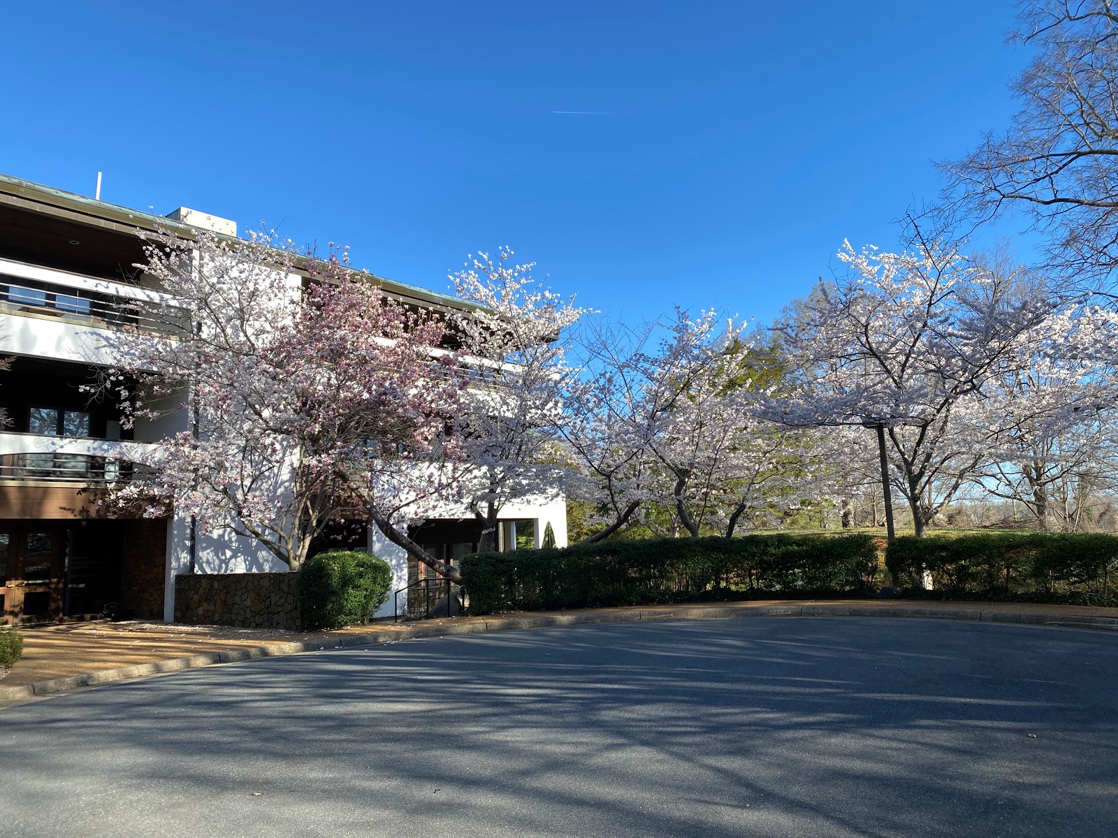 Commonwise Home Care Charlottesville