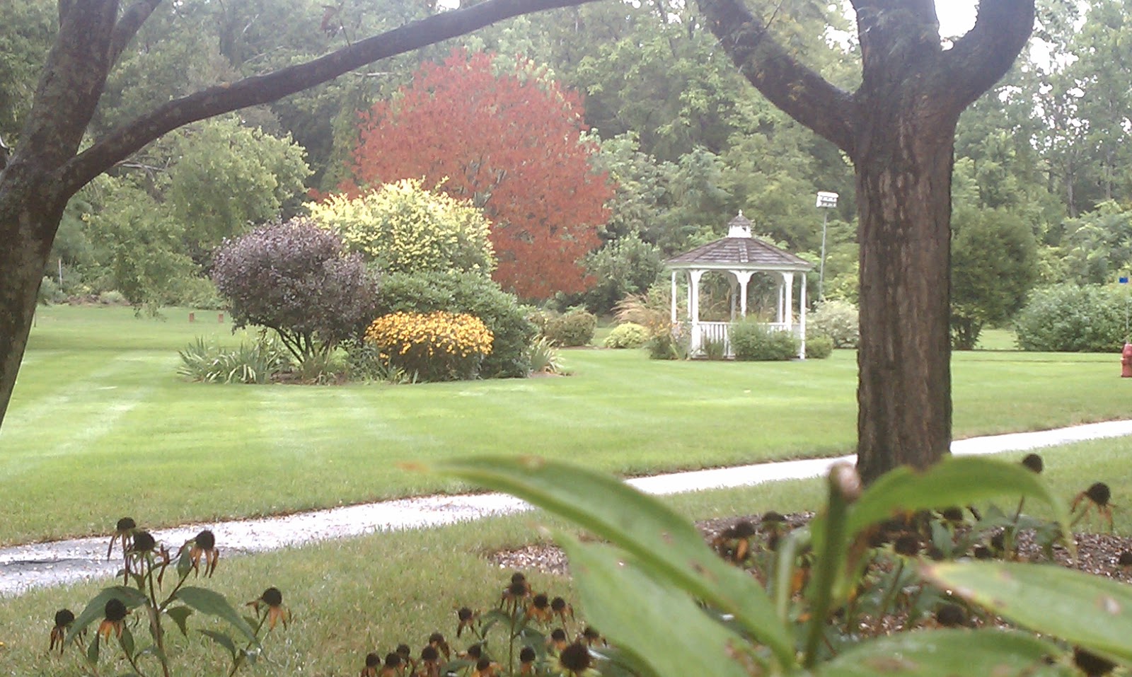 Arbors of Hop Brook