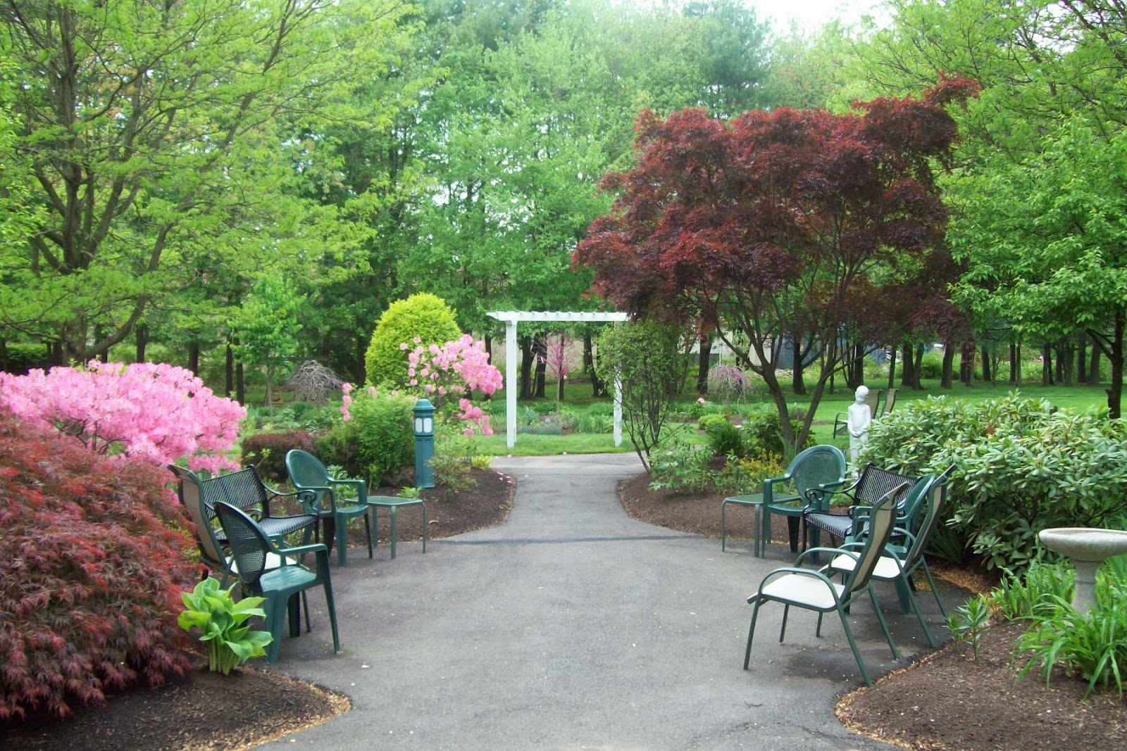 Arbors of Hop Brook
