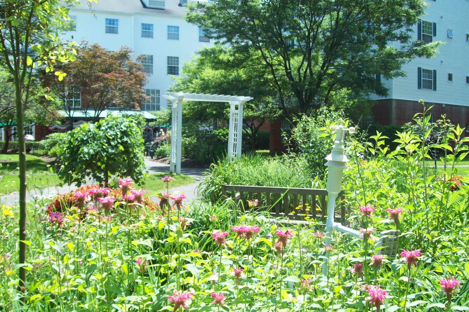 Arbors of Hop Brook