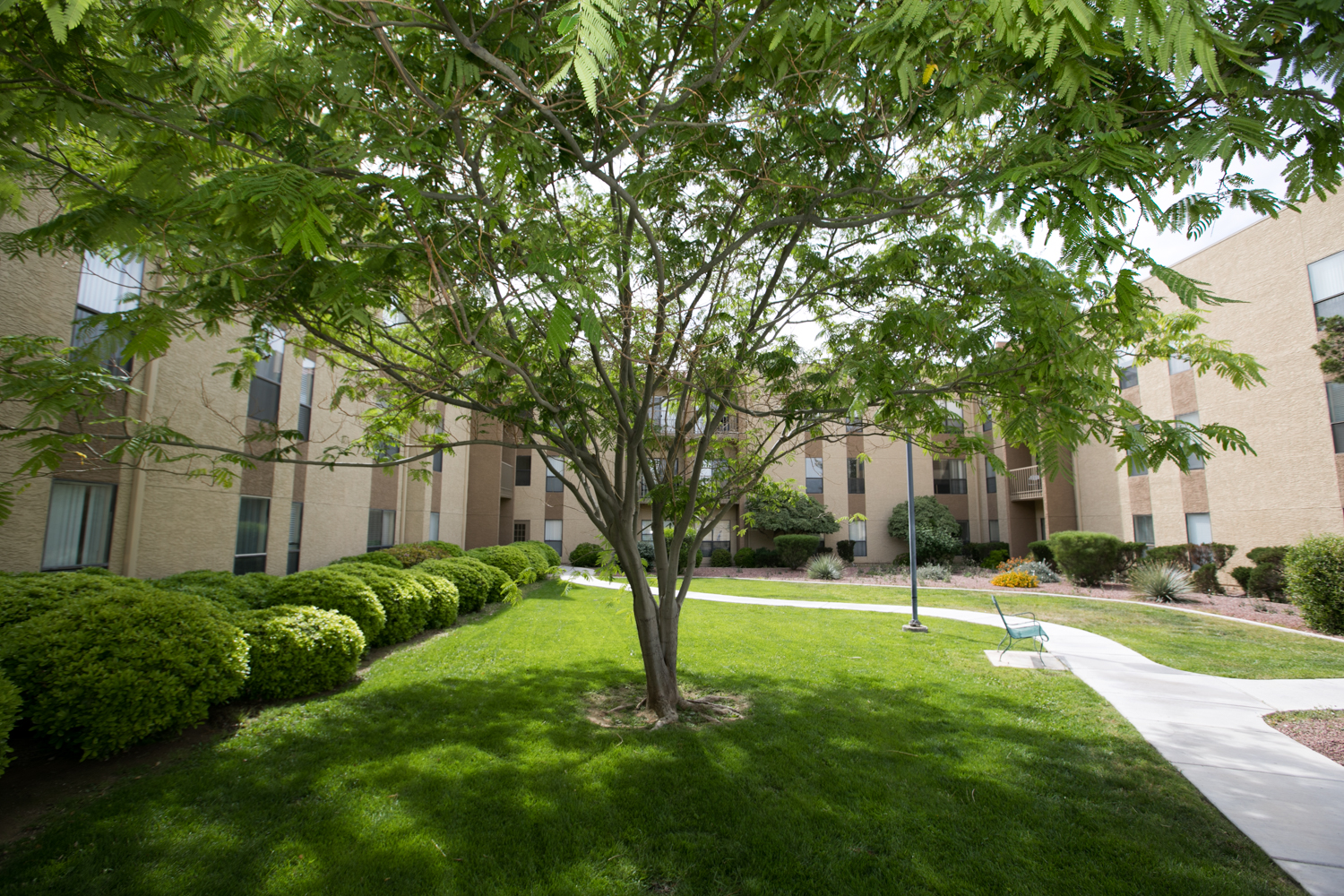 Desert Springs Senior Living