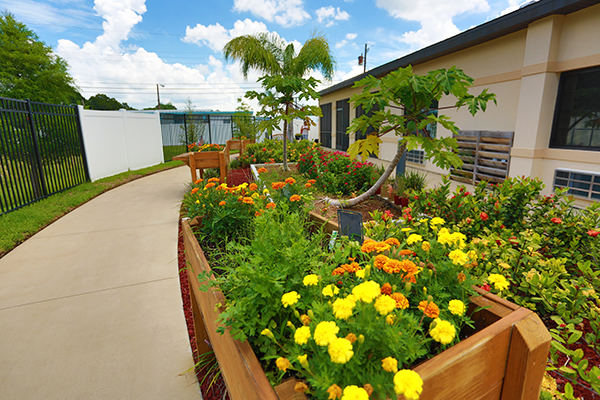 Inspired Living at Ivy Ridge