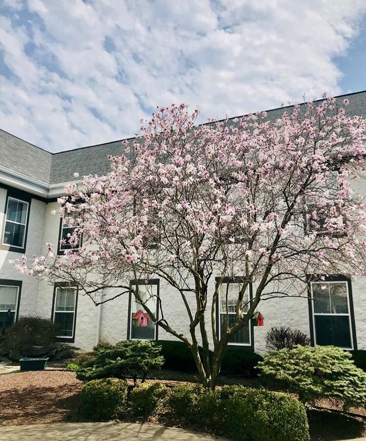 Independence Manor Hunterdon