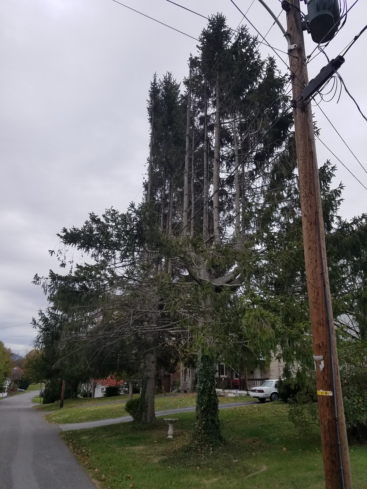 Bluefield Group Home Inc