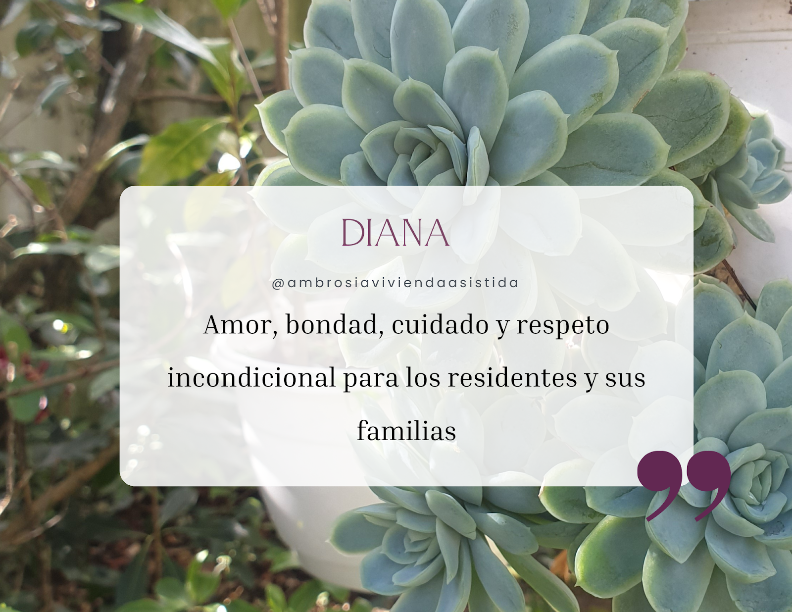 Ambrosia Assisted Home