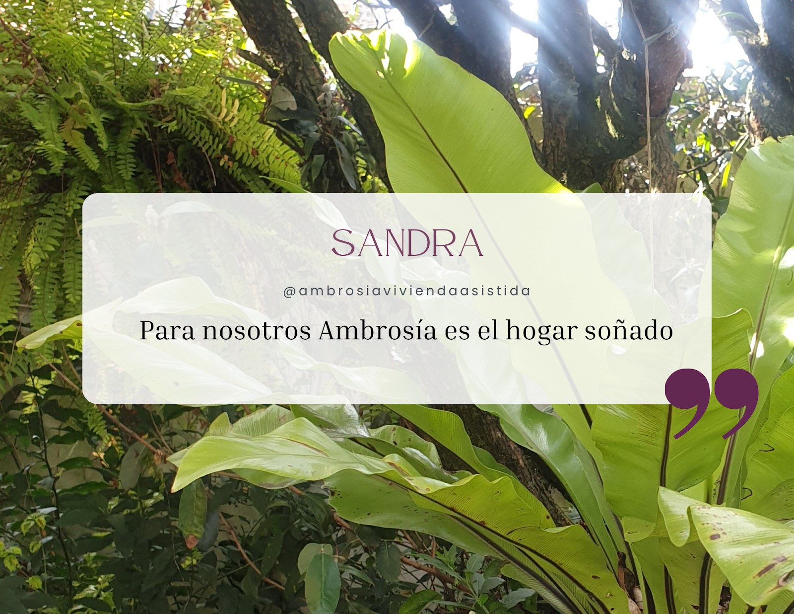Ambrosia Assisted Home