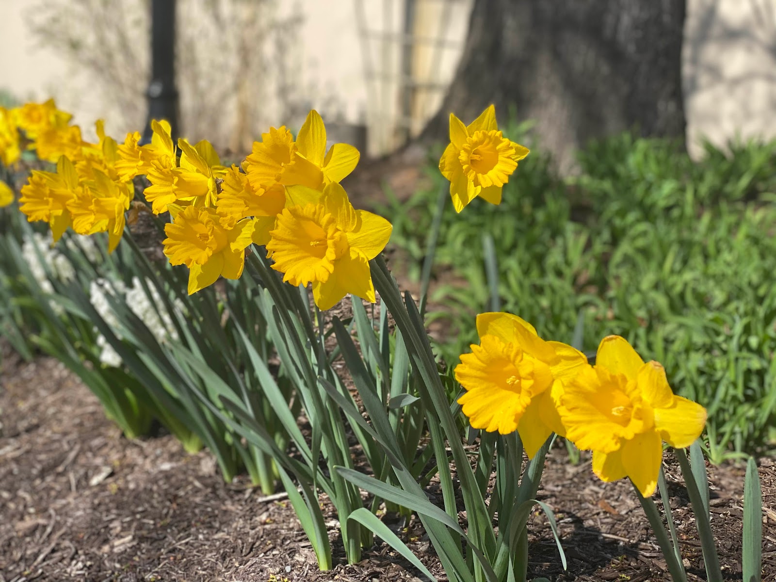 Potomac Place Assisted Living and Memory Care