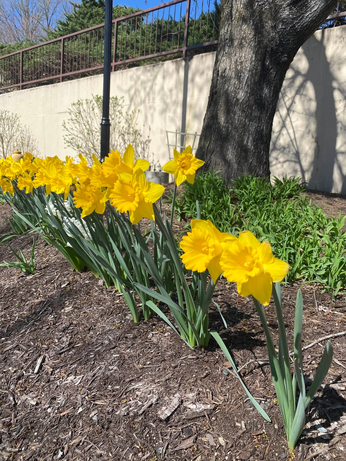 Potomac Place Assisted Living and Memory Care