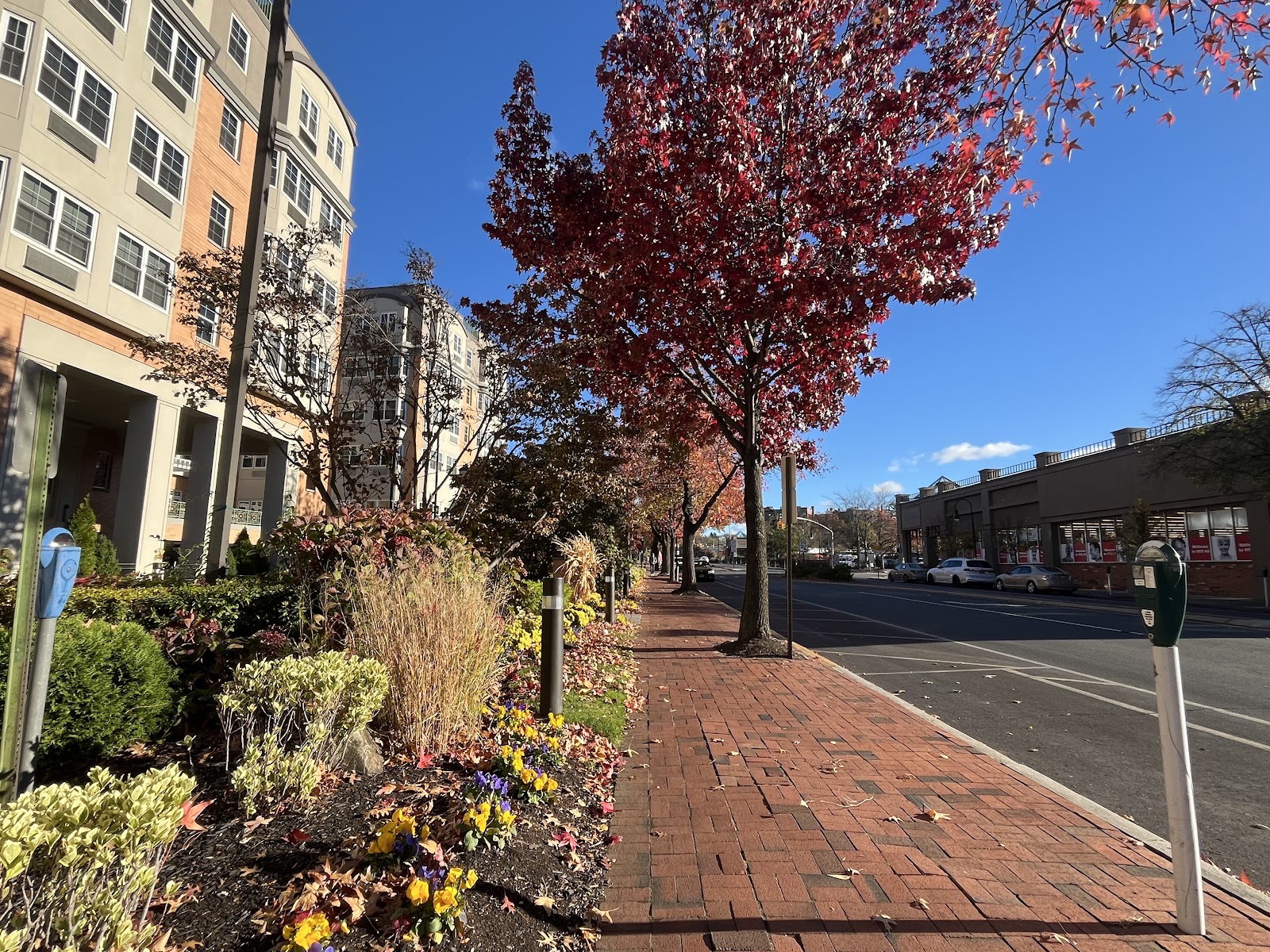 Atria Park of Great Neck
