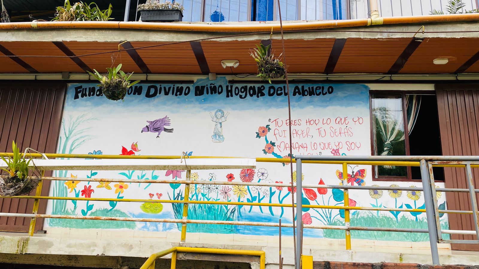 Fundacion divino niño
