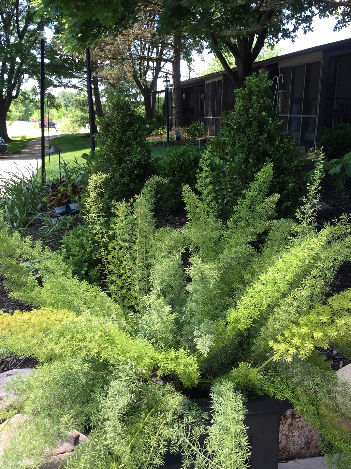 Cardinal Retirement Village