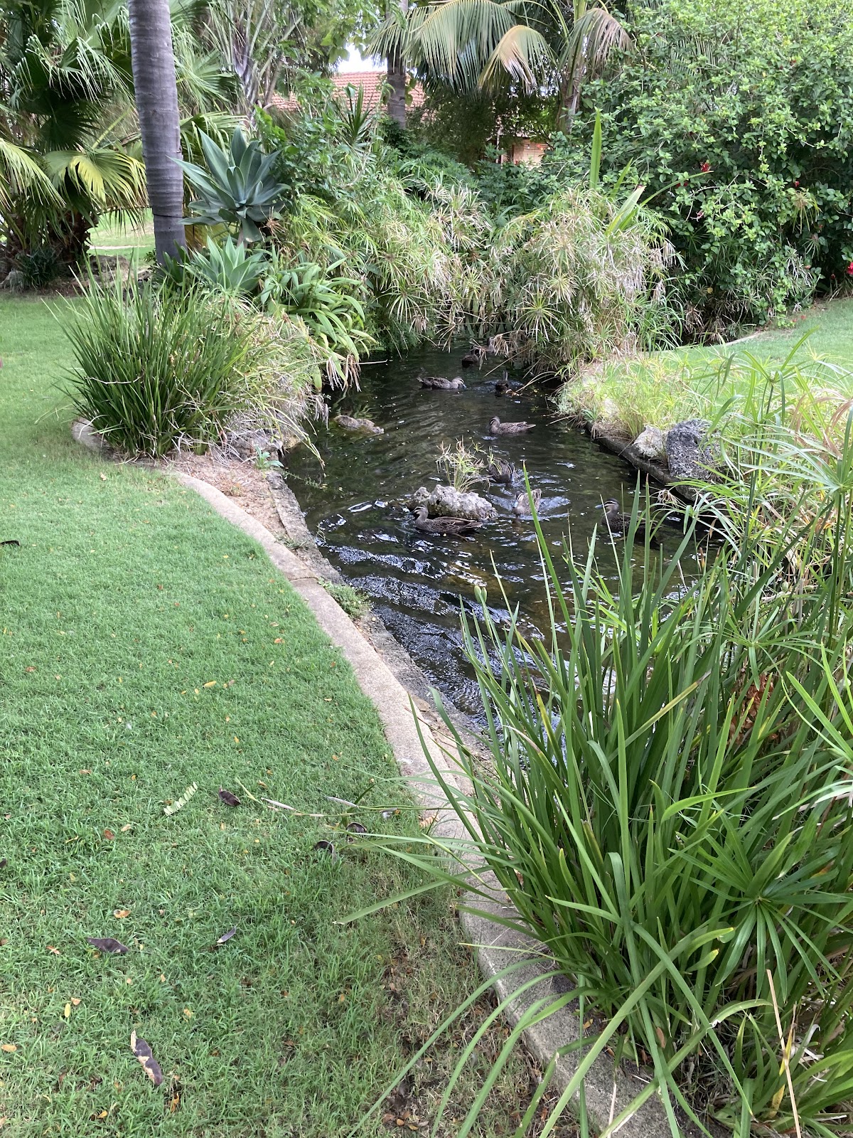 Collier Park Retirement Village