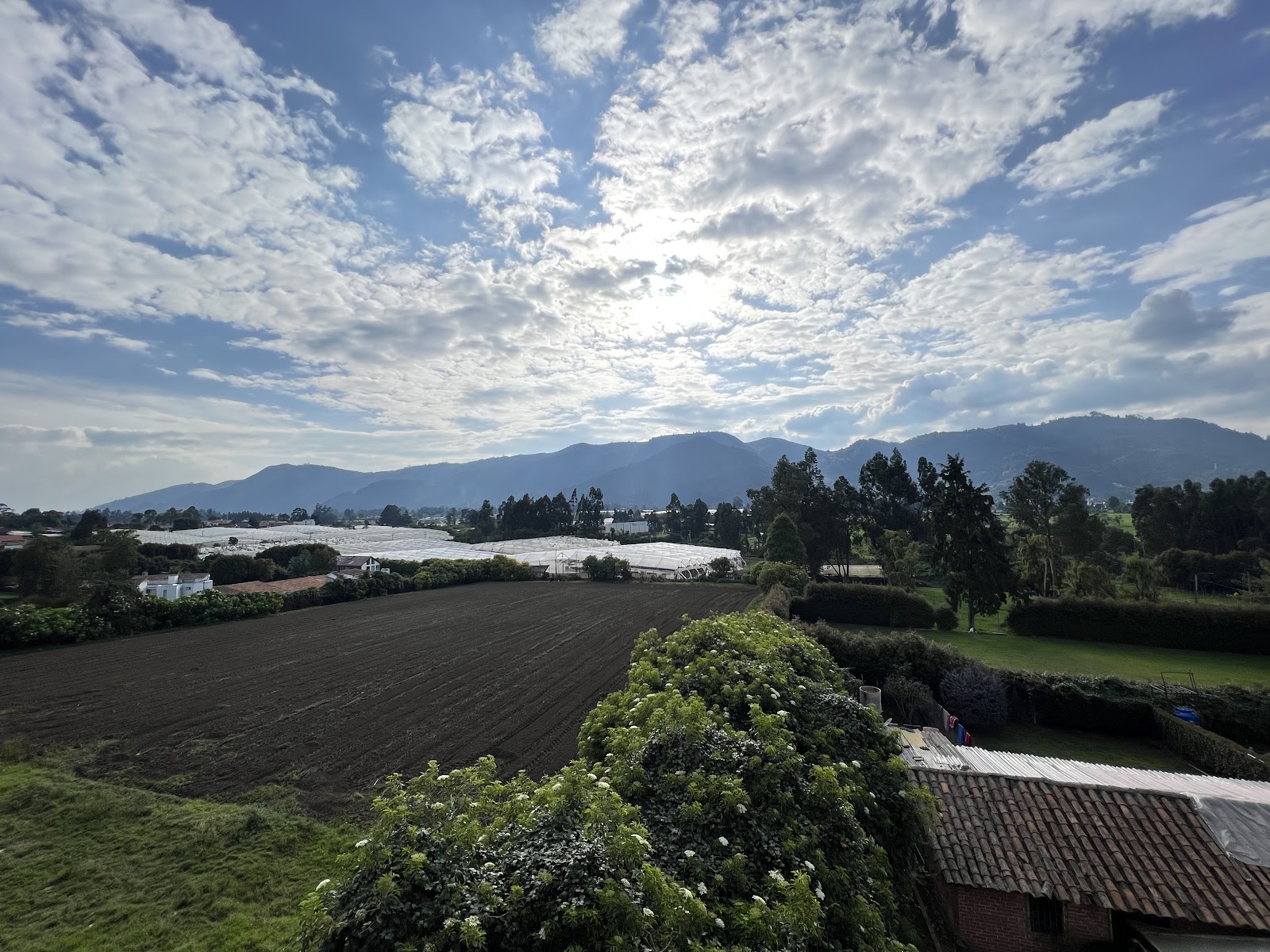 Senior Suites Guaymaral