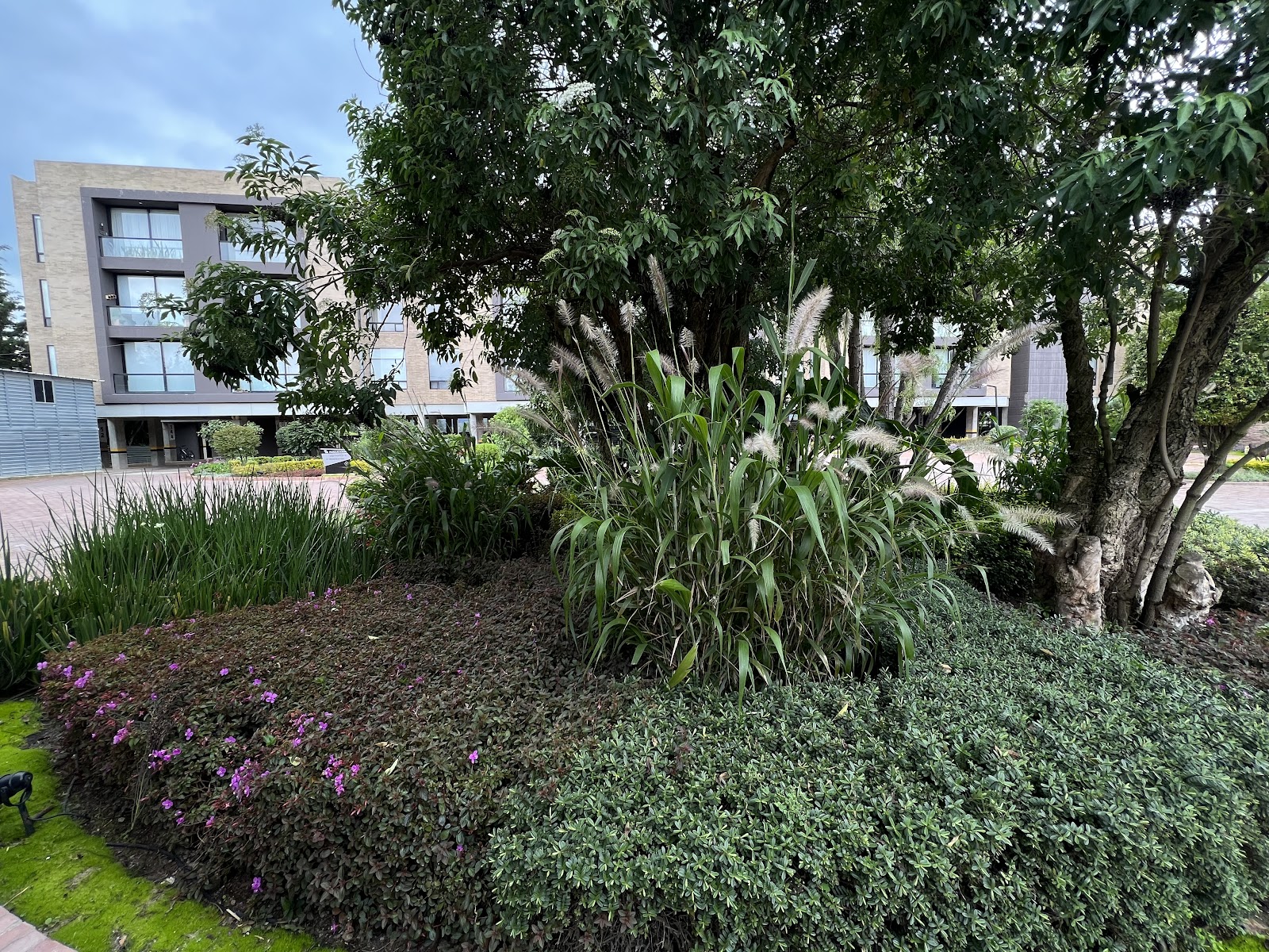 Senior Suites Guaymaral