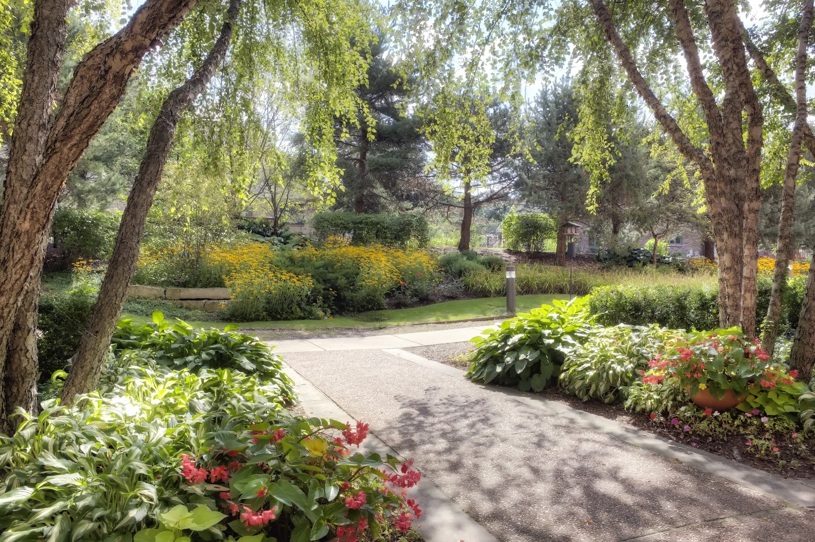 Mather Place