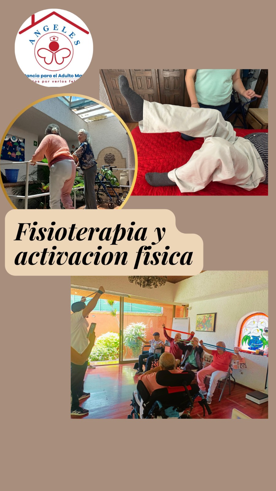 Estancia Geriátrica Ángeles
