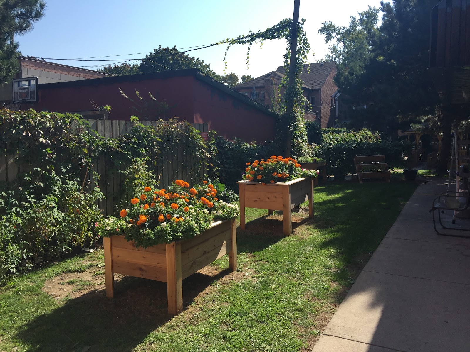 Fairview Nursing Home