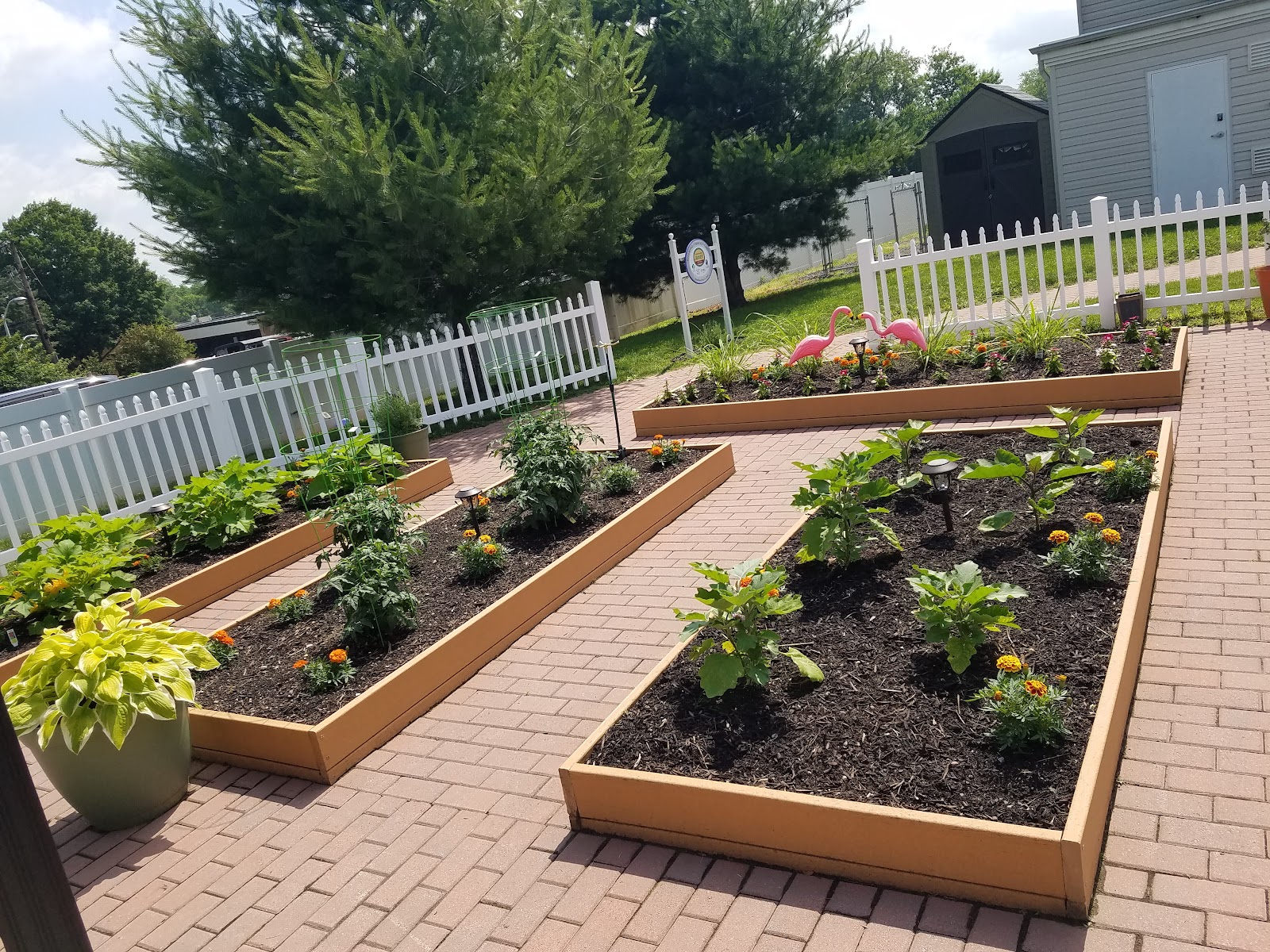 Bellmawr Senior Housing LLC