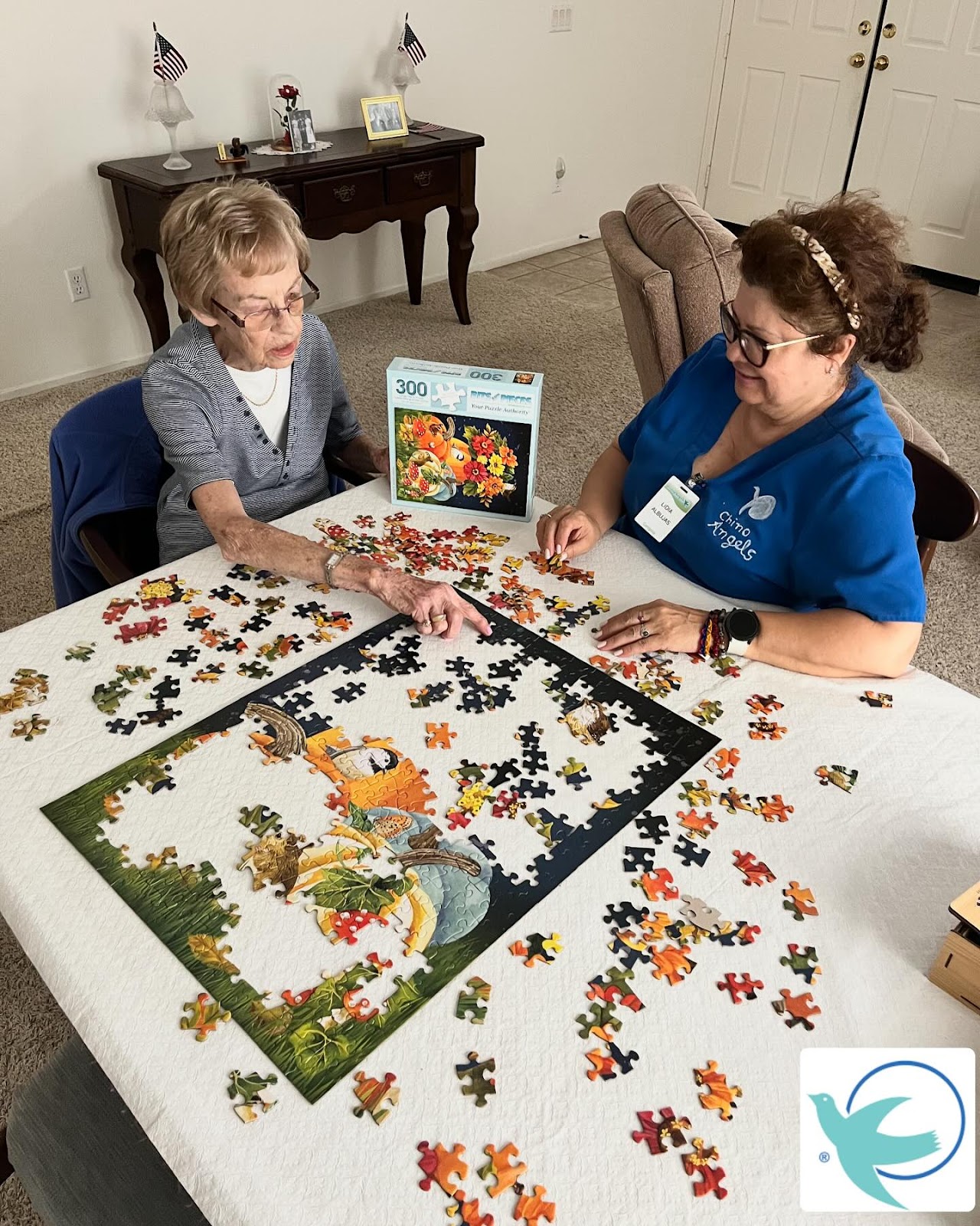Visiting Angels Senior Homecare