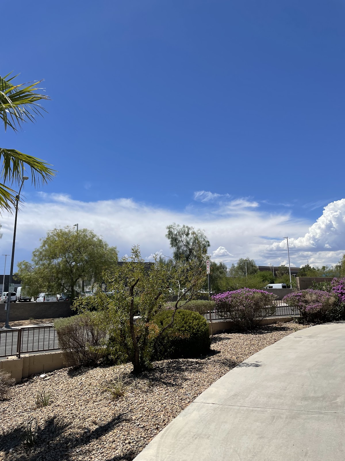 Nevada Memory Care