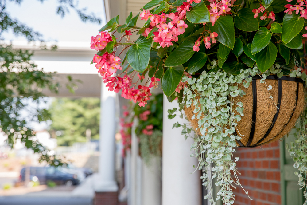 RoseWood Village Assisted Living & Memory Care - Greenbrier