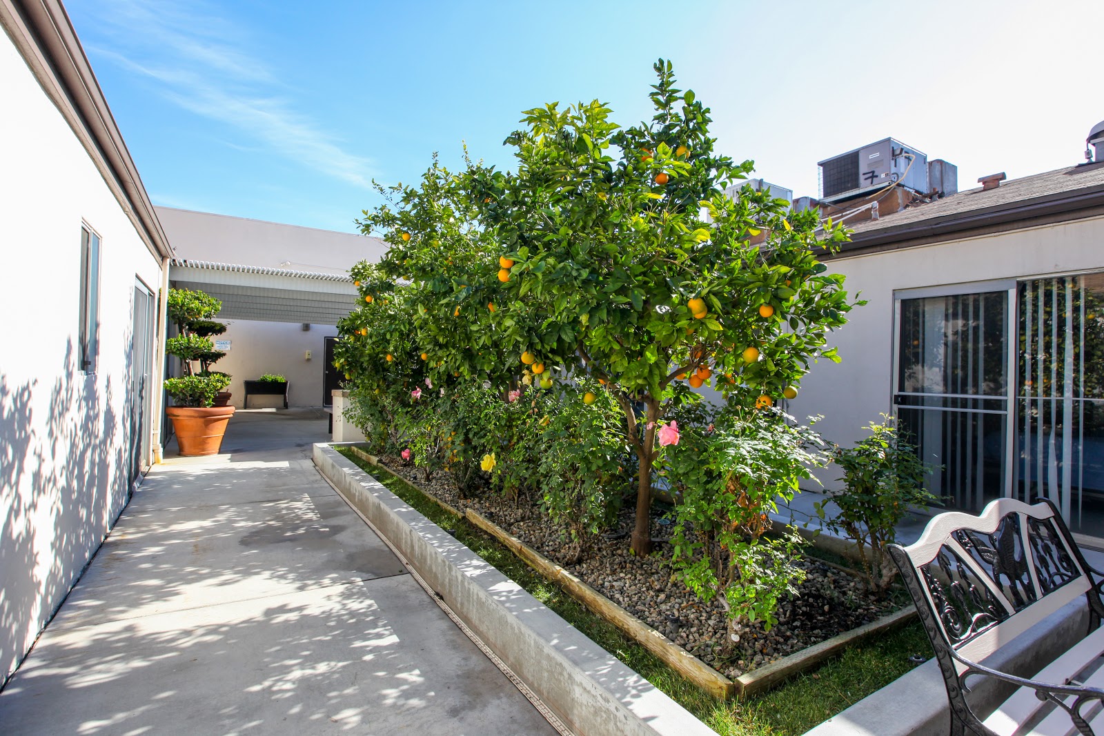 Monterey Park Convalescent Hospital