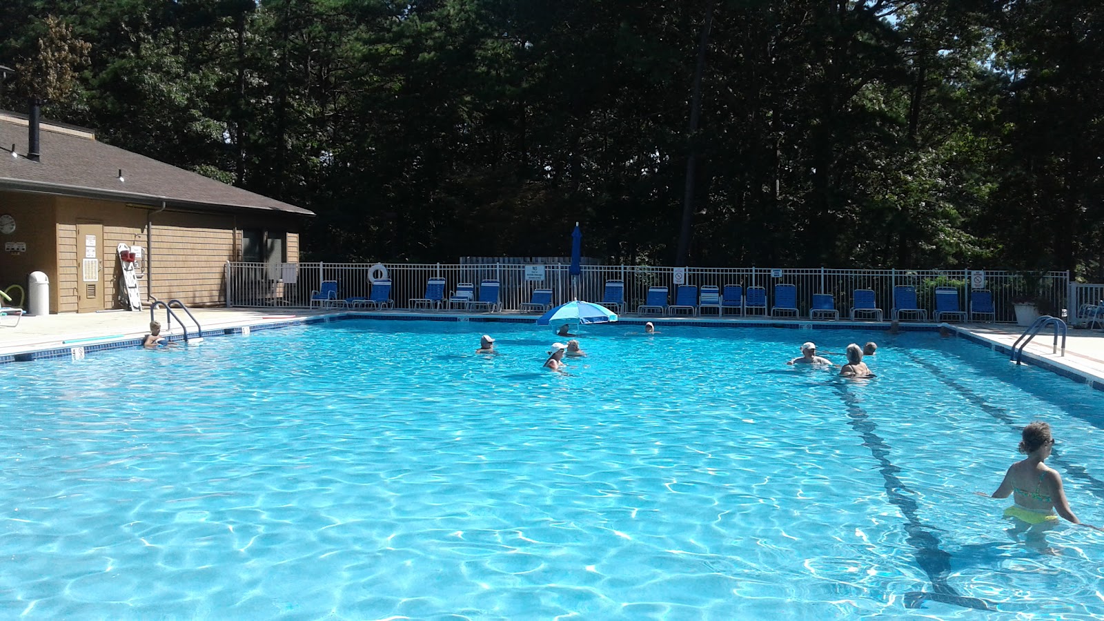 Greenbriar Woodlands