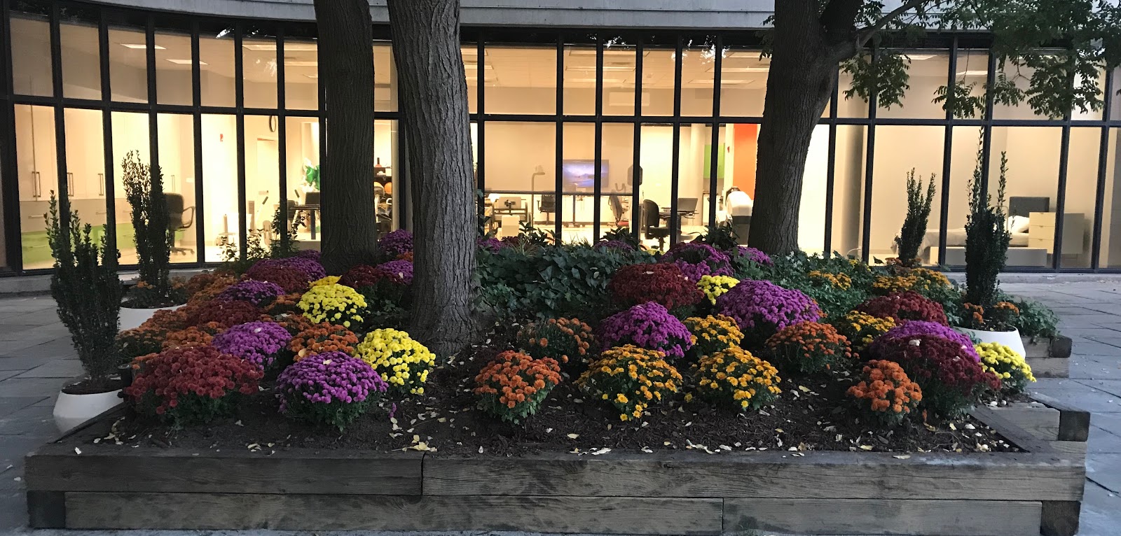 Morningside Nursing and Rehabilitation Center