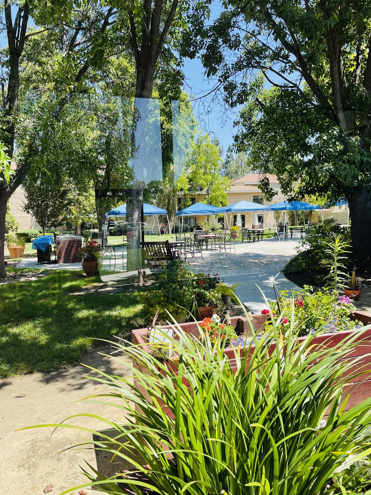 Brookdale San Jose