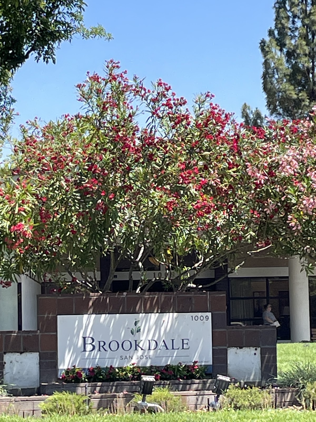 Brookdale San Jose