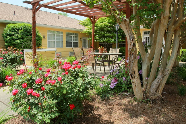 Belvedere Commons of Franklin