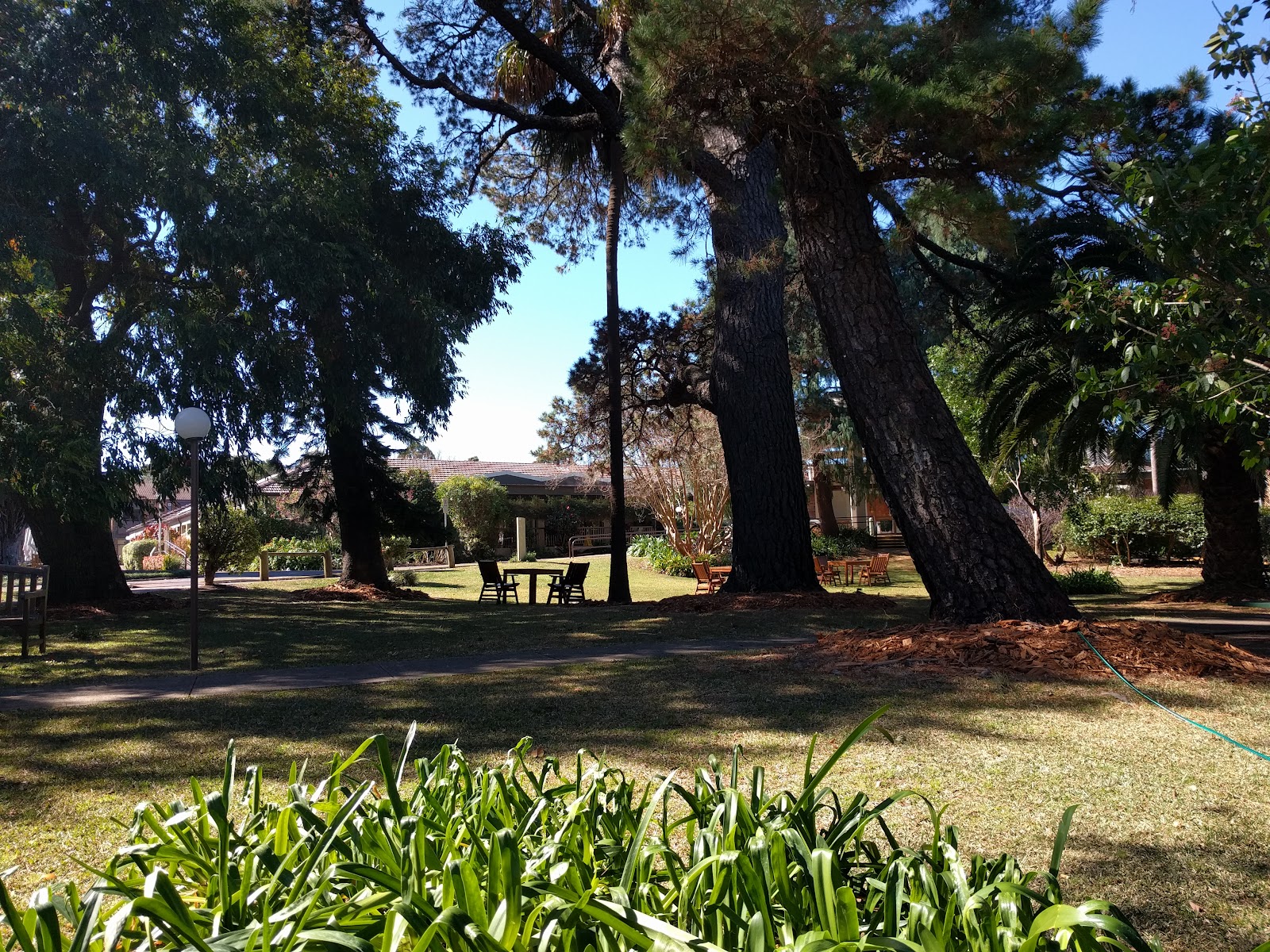 Montefiore Hunters Hill