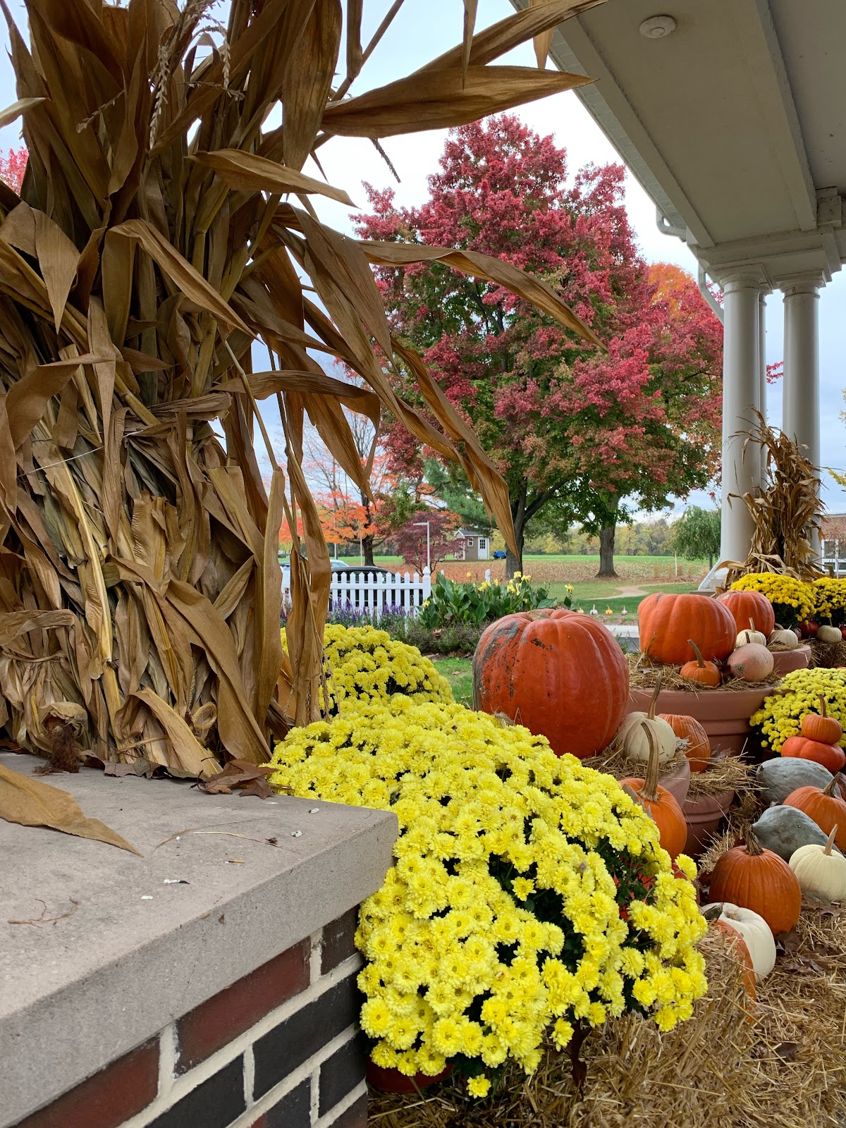 Middletown Home