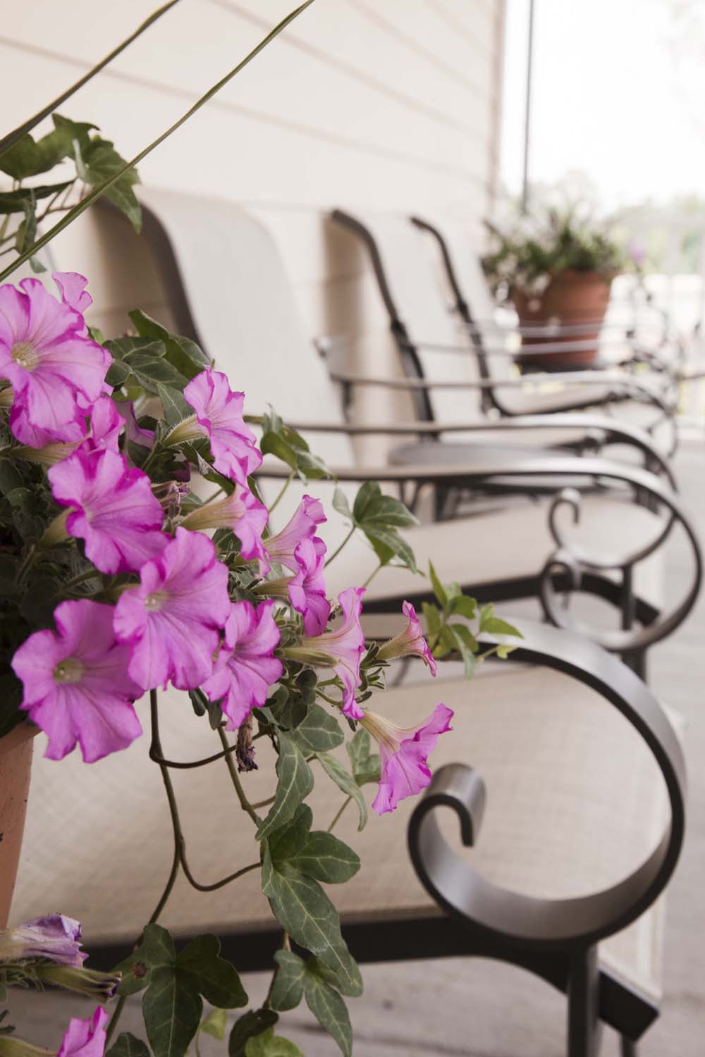 Carillon Assisted Living of Clemmons