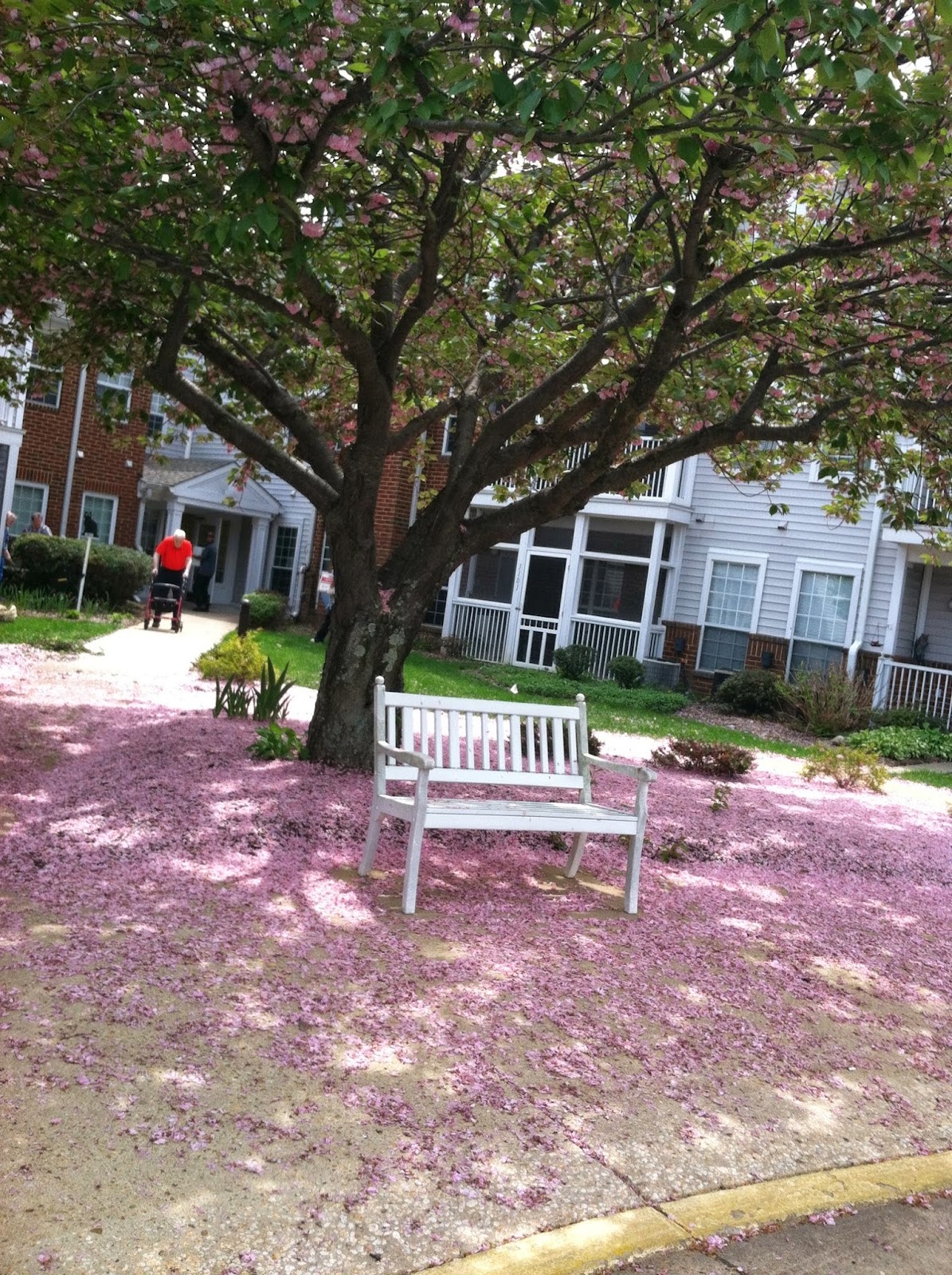 Chancellor's Village