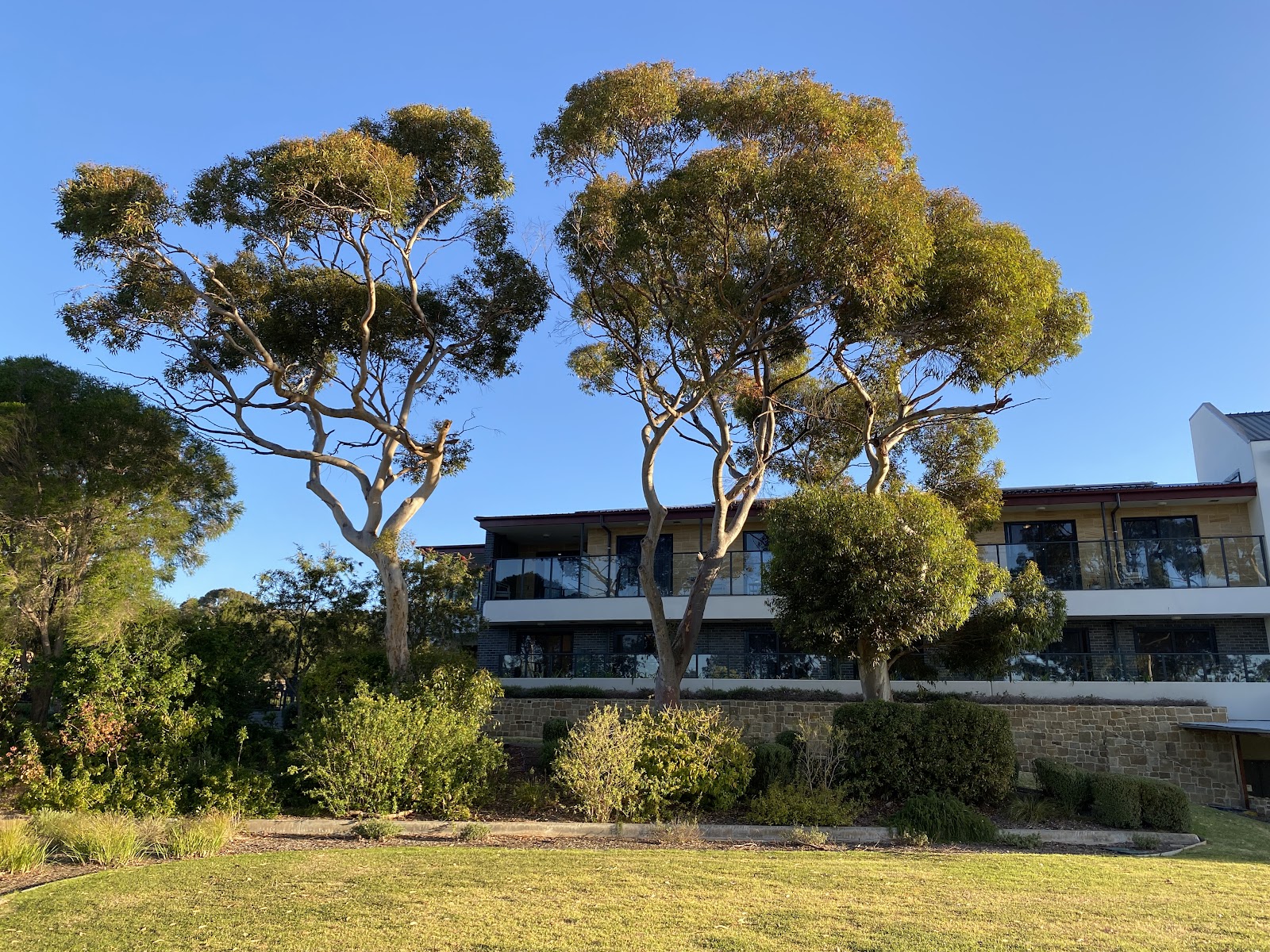 Regis Burnside (entry via Sturdee Street)
