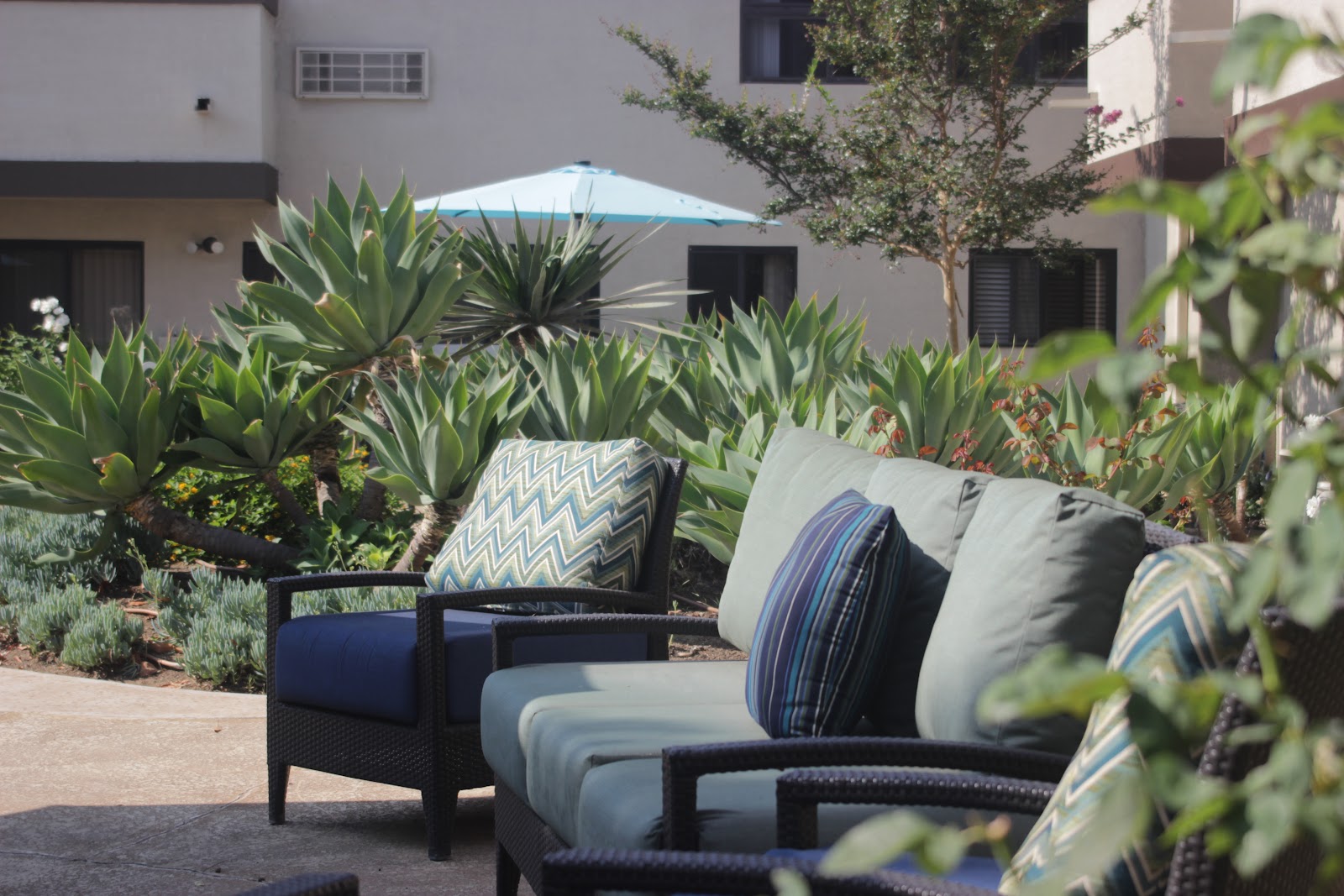 Crescendo Senior Living of Placentia