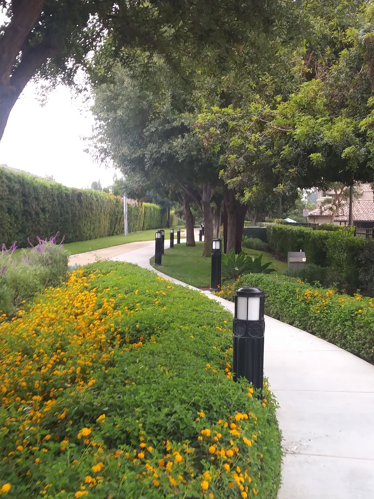 Villagio at Capriana Memory Care Community