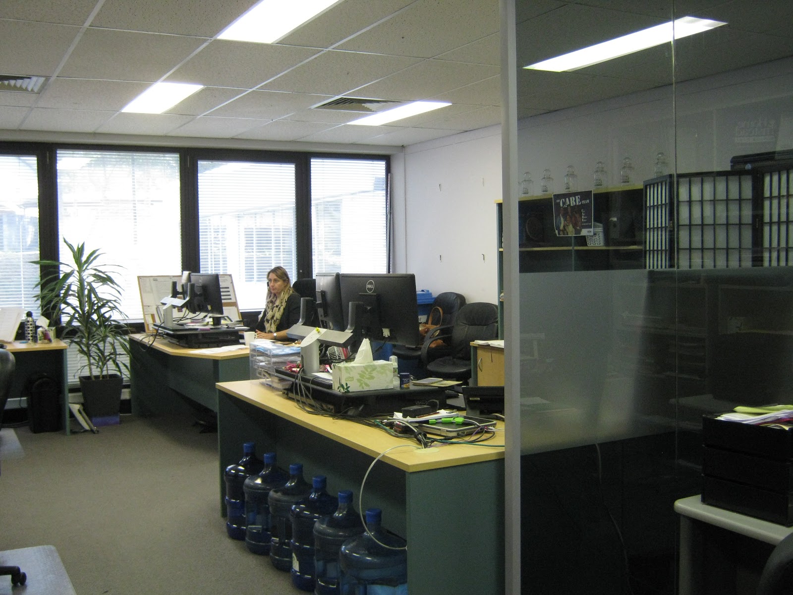 Dovida Sydney North Shore and Northern Beaches (Formerly Home Instead)