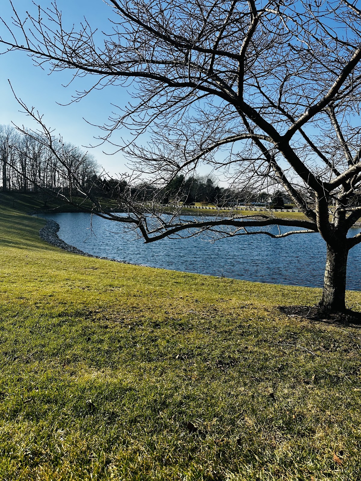 Fairways at Lake Ridge